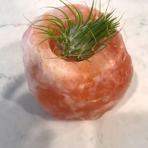 HIMALAYAN PINK ROCK SALT Candle or plant holder